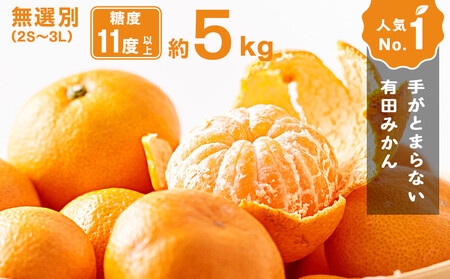 手が止まらない 訳あり 有田みかん 約5kg 大きさ無選別（2S〜3L） 糖度11度以上 鳴川農園 ［2026年11月以降発送予定］