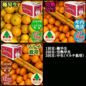 定期便 先行受付 2026年 10月発送スタート 有田みかん 食べくらべ 3種 特秀 各 3kg コース 全3回 南泰園