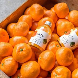 nalu juice 有田みかん 250ml × 12本 セット 鳴川農園
