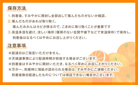JA和歌山 マルゴ共撰 デコポン 24玉入り Lサイズ 5kg箱