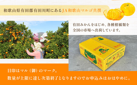 JA和歌山 マルゴ共撰 デコポン 24玉入り Lサイズ 5kg箱