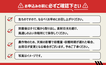 [秀品]有田のブランドみかん「賢みかん」10kg （2Sサイズ）［2026年11月中旬頃より順次発送］
