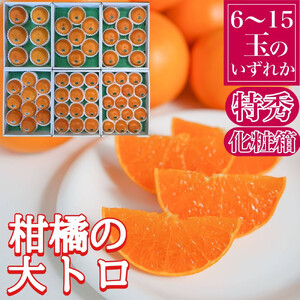 定期便 春に楽しむ ハウス せとか ＆ 木成 完熟 有田 はっさく 特秀 セット 全2回 南泰園