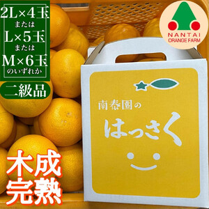 定期便 春に楽しむ ハウス せとか ＆ 木成 完熟 有田 はっさく 傷あり 二級品 小箱セット 全2回 南泰園