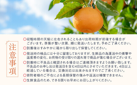 訳あり せとか 1kg M～2Lサイズおまかせ 高石垣ファーム