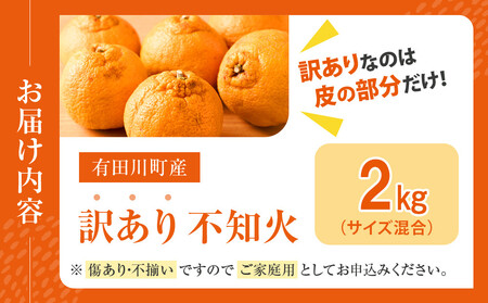 不知火(しらぬい) オレンジ みかん 訳あり 2kg サイズ混合