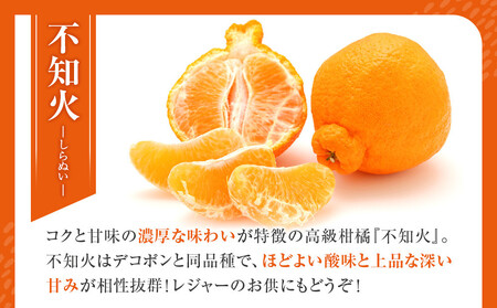 不知火(しらぬい) オレンジ みかん 訳あり 2kg サイズ混合