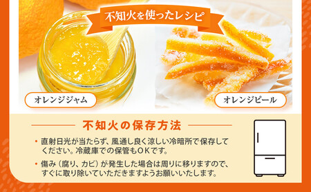 不知火(しらぬい) オレンジ みかん 訳あり 2kg サイズ混合