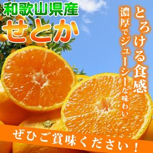 紀州有田産せとか約3kg　とろける食感！ジューシー柑橘【2025年2月下旬以降発送】【先行予約】【UT03w】