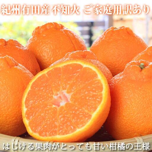 ［ご家庭用訳有り］紀州有田産不知火(しらぬひ) 約8.5kg［2026年2月中旬以降発送］［先行予約］［UT41w］