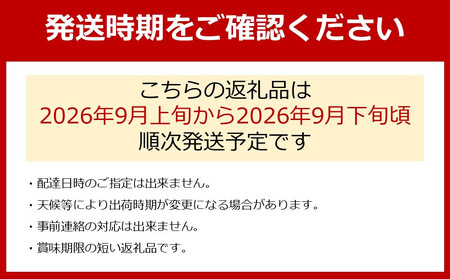農家直送 ３色ぶどう詰め合わせ大人気セット 約2kg入り ［2026年・先行予約］
