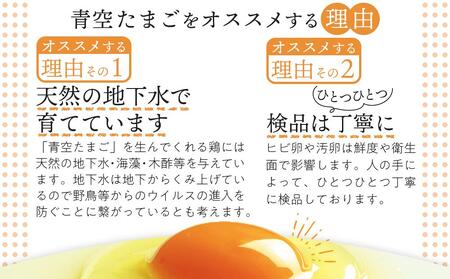 有田の青空たまご ササキのたまご Mサイズ 60個入