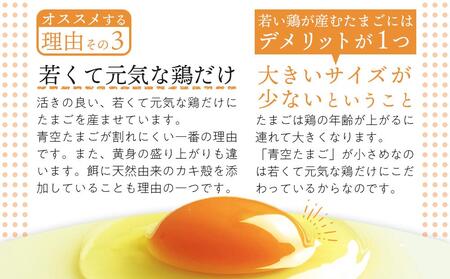 有田の青空たまご ササキのたまご Mサイズ 60個入