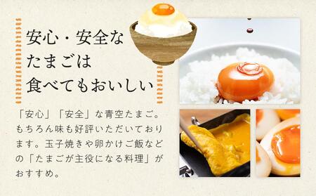 有田の青空たまご ササキのたまご Mサイズ 60個入