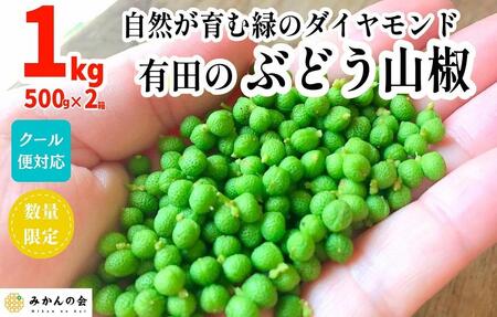 【5月下旬出荷予定】ぶどう山椒 １kg（500g×2箱） 実山椒 生山椒 クール便対応 和歌山県産