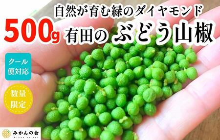 【5月下旬出荷予定】ぶどう山椒  500g 実山椒 生山椒 クール便対応 和歌山県産