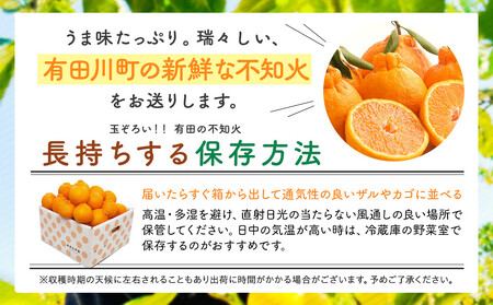 不知火 (しらぬい) 秀品 玉ぞろい 箱込 5kg (内容量約4.4kg)  和歌山県産 産地直送［みかんの会］