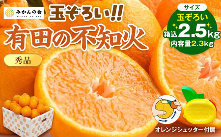 不知火 (しらぬい) 秀品 玉ぞろい 箱込 2.5kg (内容量約2.3kg)  和歌山県産 産地直送［みかんの会］