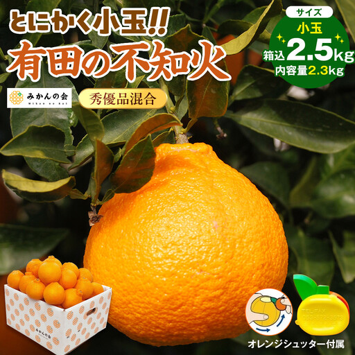 不知火 とにかく 小玉 箱込 2.5kg (内容量約 2.3kg) 秀優品混合 和歌山県産 産地直送［みかんの会］