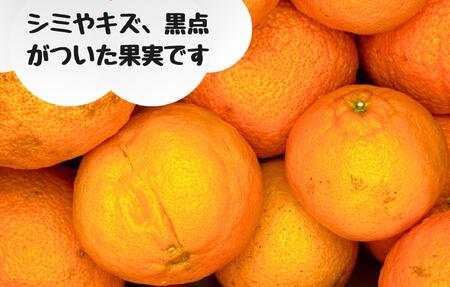 不知火 訳あり それでも 有田の不知火 箱込 7.5kg(内容量約 6.8kg) サイズミックス 和歌山県産 産地直送 【みかんの会】