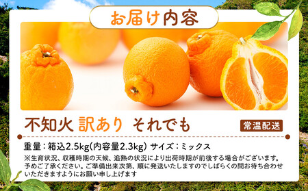 不知火 訳あり それでも 有田の不知火 箱込 2.5kg (内容量約 2.3kg) サイズミックス 和歌山県産 産地直送［みかんの会］
