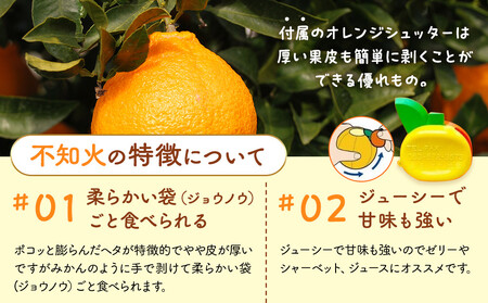 不知火 訳あり それでも 有田の不知火 箱込 2.5kg (内容量約 2.3kg) サイズミックス 和歌山県産 産地直送［みかんの会］