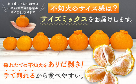 不知火 訳あり それでも 有田の不知火 箱込 2.5kg (内容量約 2.3kg) サイズミックス 和歌山県産 産地直送［みかんの会］