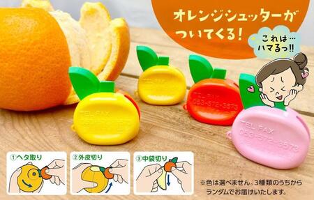 八朔 (はっさく) 玉ぞろい 箱込 10kg(内容量約 9.2kg) 2L L Mサイズのいずれか 秀品 優品 混合和歌山県産  産地直送［おまけ付き］［みかんの会］