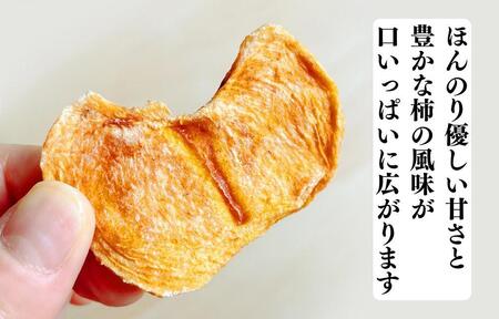 ドライフルーツ 柿チップ 400g ( 40g × 10袋 ) 和歌山県産 果物使用 自社製造 【みかんの会】