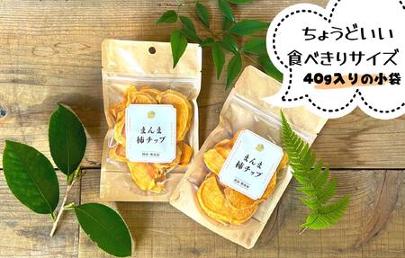 ドライフルーツ 柿チップ 400g ( 40g × 10袋 ) 和歌山県産 果物使用 自社製造 【みかんの会】