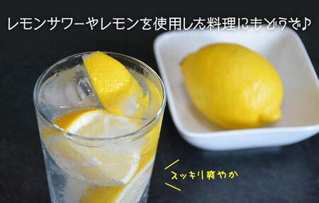 訳あり レモン B品  箱込2.5kg(内容量約2.3kg) 和歌山県有田産（サイズミックス）【みかんの会】