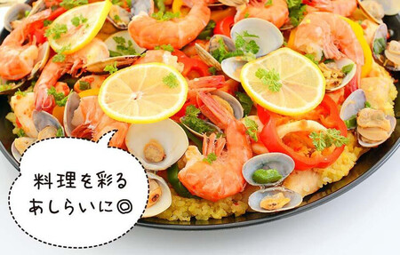 訳あり レモン B品  箱込2.5kg(内容量約2.3kg) 和歌山県有田産（サイズミックス）【みかんの会】