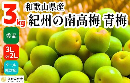 2024年6月上旬出荷】青梅 南高梅 3kg 秀品 3Lまたは2Lサイズ