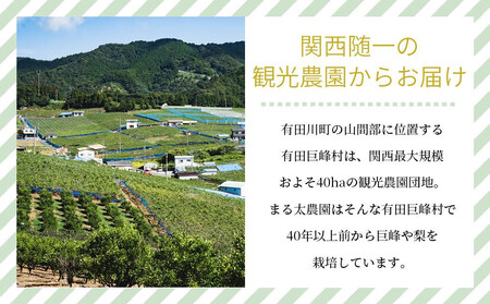 ［先行予約］種なし巨峰と旬の梨　約２kg［2026年8月上旬以降順次発送］