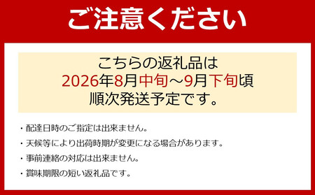 ［先行予約］朝採りシャインマスカット 約2kg ［2026年8月中旬以降順次発送］
