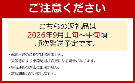 【先行予約】有田巨峰村三木と園の露地栽培あま~い種あり巨峰3kg | ぶどう