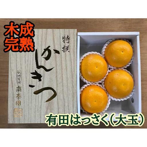 4月 まで 木成 完熟 させた 有田 はっさく 特秀 大玉 2L × 4玉 化粧小箱 南泰園 みかん