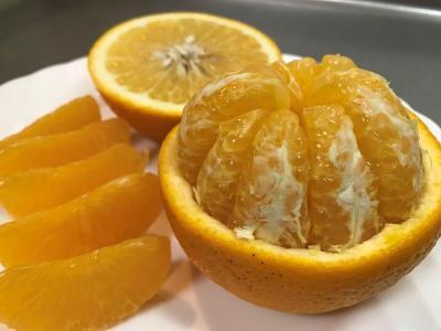 【ふるなびWEEK対象】4月 まで 木成 完熟 させた 有田 はっさく 特秀 L × 8玉 化粧箱 南泰園 みかん FN-Limited-WE