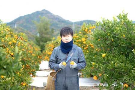 【ふるなびWEEK対象】4月 まで 木成 完熟 させた 有田 はっさく 特秀 L × 8玉 化粧箱 南泰園 みかん FN-Limited-WE