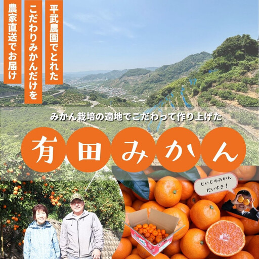 農家直送！きよみオレンジ 小玉5kg［平武農園］～蛍飛ぶ町から旬の便り～［2026年3月下旬から順次発送予定］