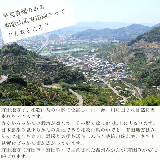 農家直送！きよみオレンジ 小玉5kg［平武農園］～蛍飛ぶ町から旬の便り～［2026年3月下旬から順次発送予定］