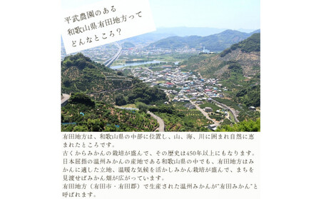 農家直送！きよみオレンジ 10kg 訳あり≪サイズ混合≫［平武農園］～蛍飛ぶ町から旬の便り～［2026年3月下旬から順次発送予定］
