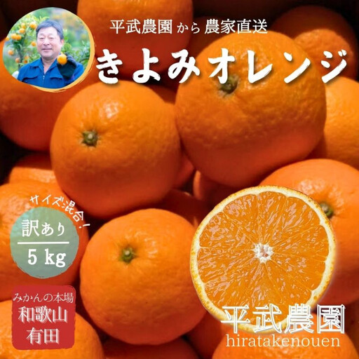 農家直送！きよみオレンジ 5kg 訳あり≪サイズ混合≫［平武農園］～蛍飛ぶ町から旬の便り～［2026年3月下旬から順次発送予定］