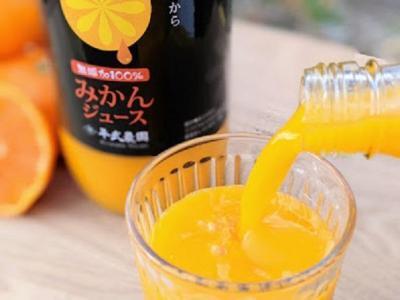 無添加100％みかんジュース2本セット【平武農園】～蛍飛ぶ町から旬の便り～