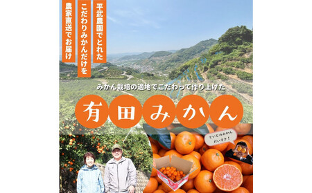 農家直送！きよみオレンジ 3kg ≪秀品≫［平武農園］～蛍飛ぶ町から旬の便り～［2026年3月下旬から順次発送予定］