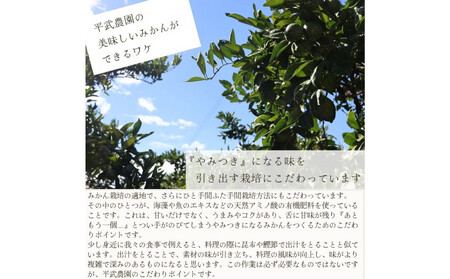 農家直送！きよみオレンジ 3kg ≪秀品≫［平武農園］～蛍飛ぶ町から旬の便り～［2026年3月下旬から順次発送予定］