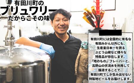 和歌山の地ビールブルーウッドブリュワリー飲み比べ6本セット