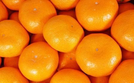 有田のブランド「賢みかん」5kg(S～Lサイズおまかせ）ご家庭用［2026年11月中旬頃より順次発送］