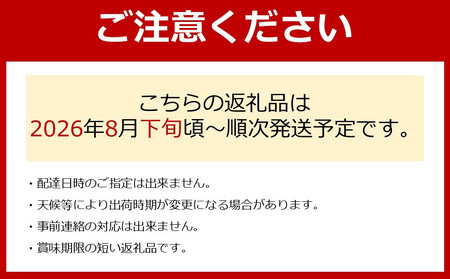 ［先行予約］シャインマスカット 約1.4kg  (2房～4房) 有田巨峰村 【朝採 新鮮】 ■2026年発送■※8月下旬頃から9月下旬頃まで順次発送予定 | ぶどう シャインマスカット ぶどう