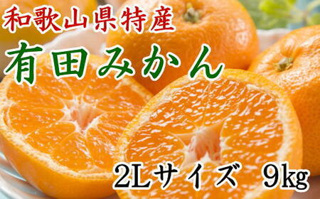 [秀品]和歌山有田みかん約9kg(2Lサイズ) ★2024年11月中旬頃より順次発送